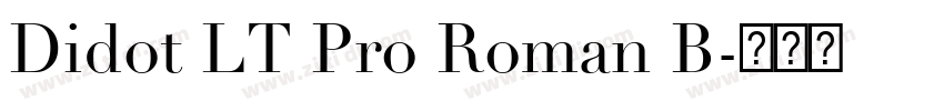 Didot LT Pro Roman B字体转换 Didot LT Pro Roman B字体转换